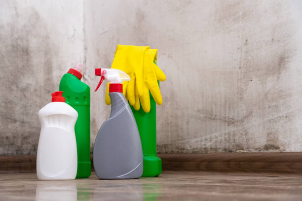 Why You Should Choose Our Mold Remediation Services in Spry, PA